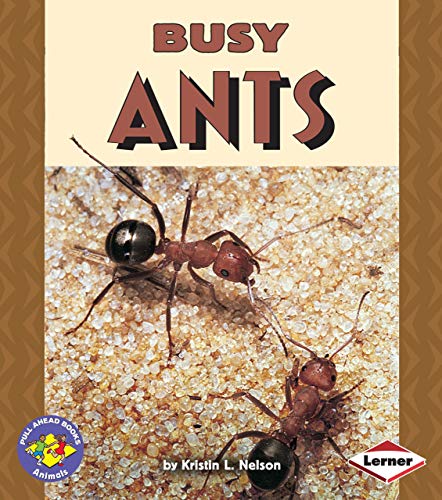 9780822598855: Busy Ants (Pull Ahead Books)