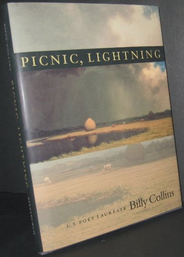 9780822940661: Picnic, Lightning