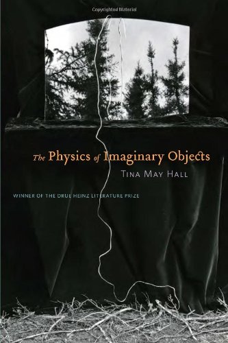 Beispielbild fr The Physics of Imaginary Objects zum Verkauf von Better World Books