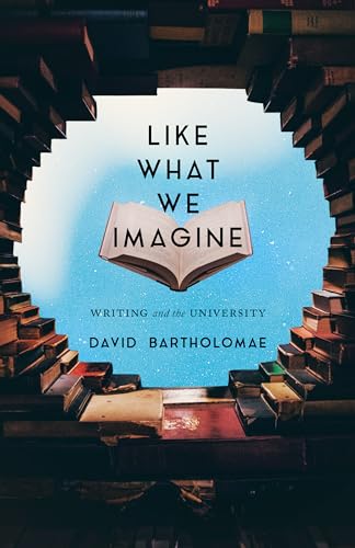 Stock image for Like What We Imagine: Writing and the University (Composition, Literacy, and Culture) for sale by Midtown Scholar Bookstore