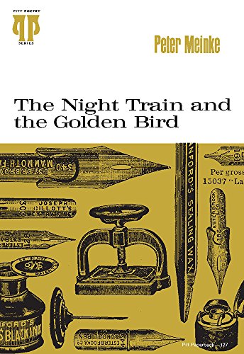 9780822952800: The Night Train and the Golden Bird