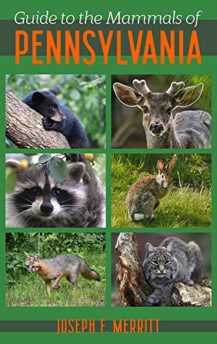 Stock image for Guide to the Mammals of Pennsylvania for sale by ThriftBooks-Atlanta