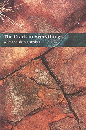 9780822955931: The Crack In Everything (Pitt Poetry Series)