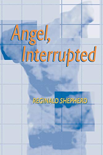 Angel, Interrupted (Pitt Poetry Series)