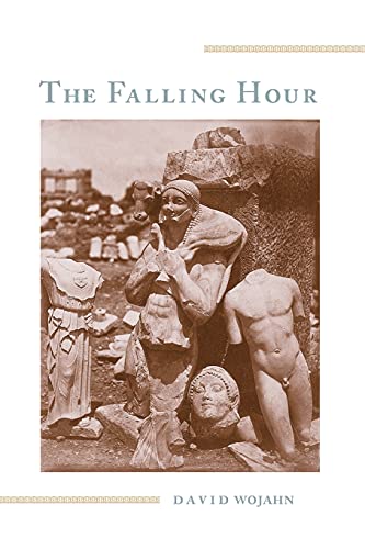 9780822956426: The Falling Hour (Pitt Poetry Series)