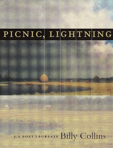 Stock image for Picnic, Lightning (Pitt Poetry Series) for sale by SecondSale