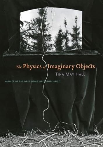 9780822961550: The Physics of Imaginary Objects (Drue Heinz Literature Prize)