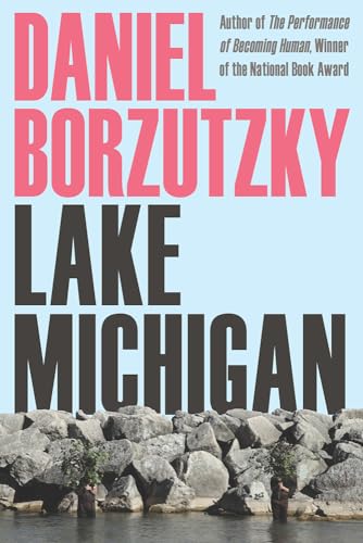 9780822965220: Lake Michigan (Pitt Poetry Series)