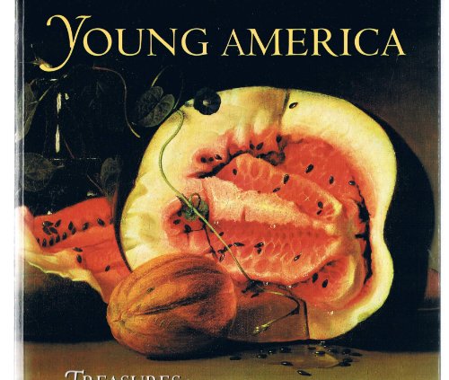 Beispielbild fr Young America zum Verkauf von Better World Books