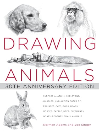 9780823013661: Drawing Animals: 30th Anniversary Edition