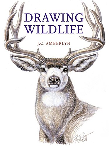 Beispielbild fr Drawing Wildlife zum Verkauf von Goodbookscafe
