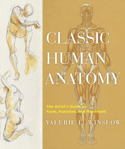 9780823024155: Classic Human Anatomy: The Artist's Guide to Form, Function, and Movement