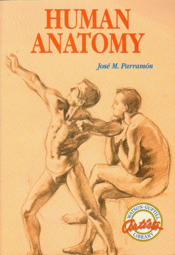 9780823024995: Human Anatomy (Watson-Guptill Artist's Library)