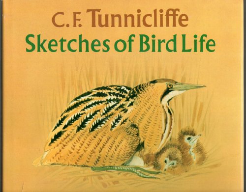 Stock image for C. F. Tunnicliffe: Sketches of Bird Life for sale by HPB Inc.