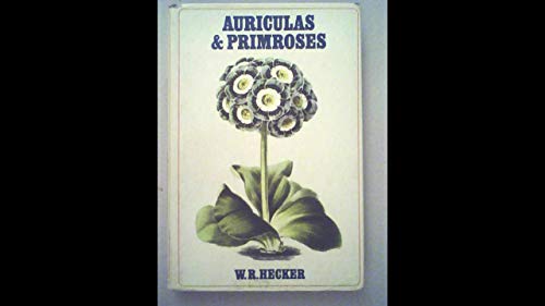 Auriculas and Primroses