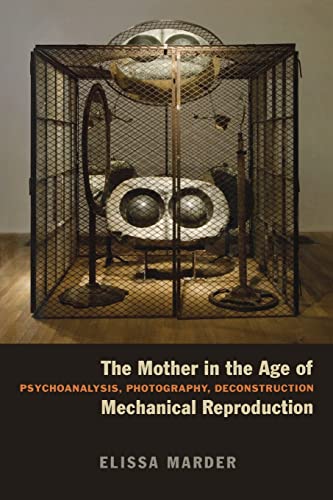 9780823240562: The Mother in the Age of Mechanical Reproduction: Psychoanalysis, Photography, Deconstruction