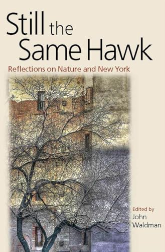 Stock image for Still the Same Hawk: Reflections on Nature and New York for sale by Wonder Book