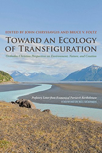 Beispielbild fr Toward an Ecology of Transfiguration zum Verkauf von Blackwell's