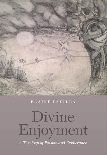 Beispielbild fr Divine Enjoyment: A Theology of Passion and Exuberance zum Verkauf von AwesomeBooks