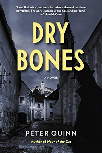 9780823297931: Dry Bones (The Fintan Dunne Trilogy)