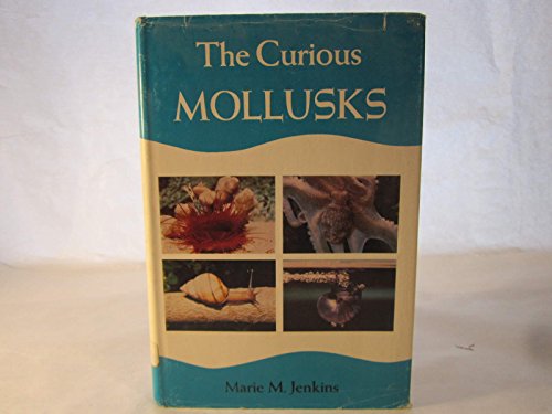 THE CURIOUS MOLLUSKS