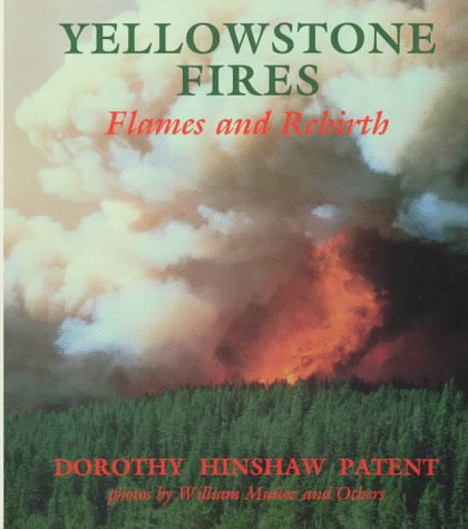 9780823408078: Yellowstone Fires: Flames and Rebirth