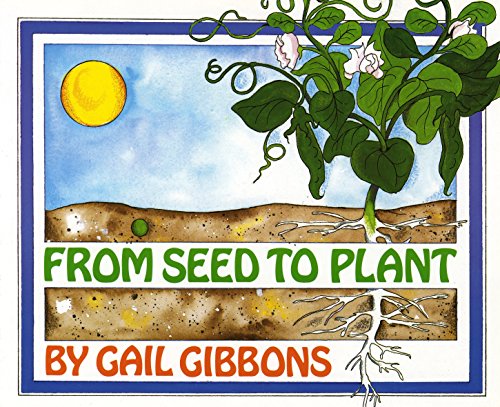 Stock image for From Seed to Plant for sale by Blackwell's