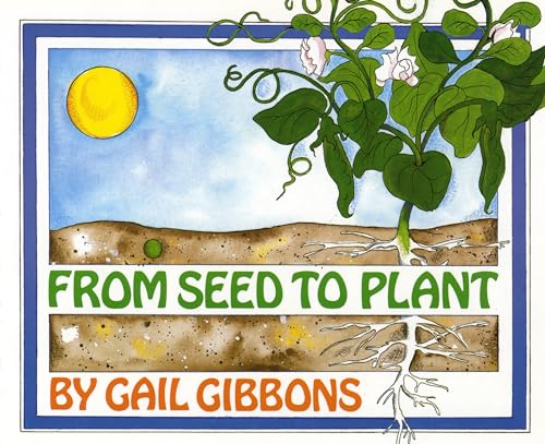 From Seed to Plant (Paperback) - Gail Gibbons