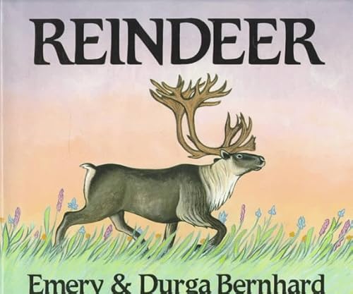 Beispielbild fr Reindeer zum Verkauf von Better World Books
