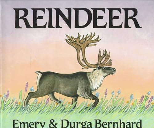 Imagen de archivo de Reindeer a la venta por Better World Books