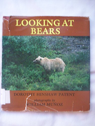 Imagen de archivo de Looking at Bears a la venta por Vashon Island Books