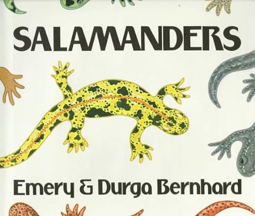 Imagen de archivo de Salamanders a la venta por Booksavers of MD