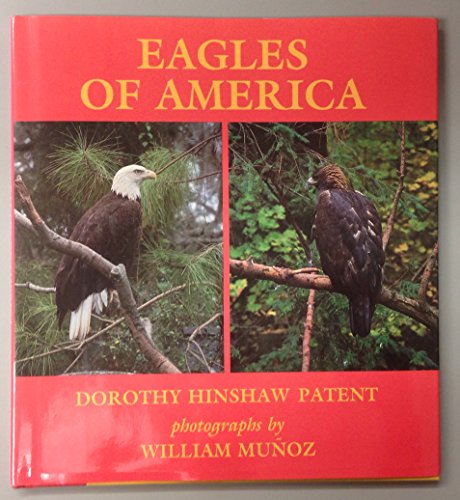 Stock image for Eagles of America for sale by Better World Books