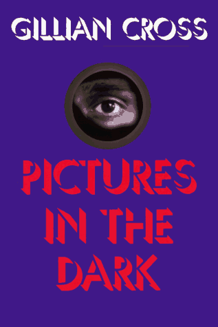9780823412679: Pictures in the Dark