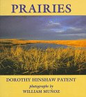 Imagen de archivo de Prairies a la venta por Better World Books