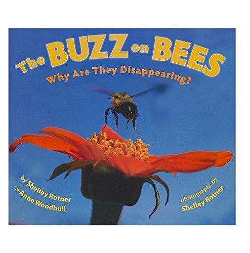 Stock image for The Buzz on Bees : Why Are They Disappearing? for sale by Better World Books: West