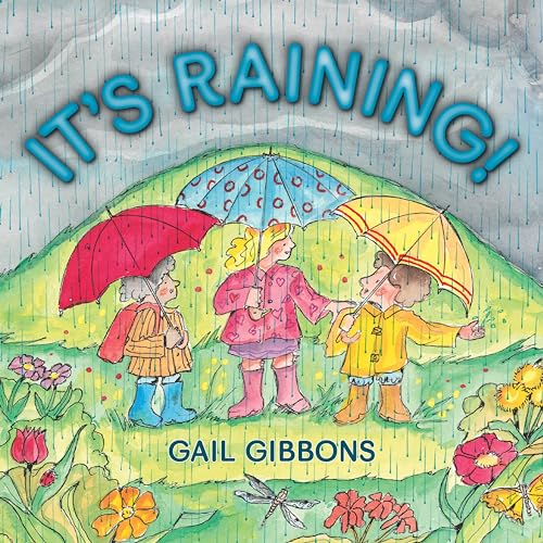 Stock image for It's Raining! for sale by Better World Books: West