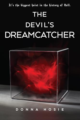 9780823436934: The Devil's Dreamcatcher