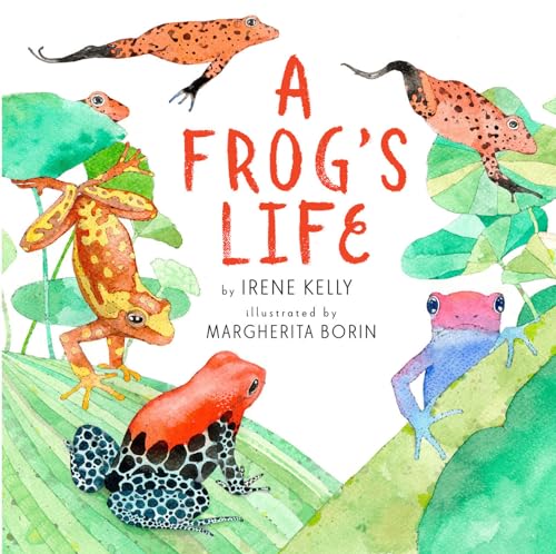 Beispielbild fr A Frog's Life zum Verkauf von Blackwell's