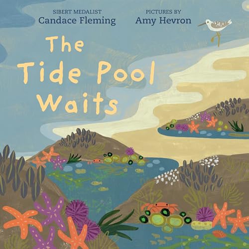 Stock image for The Tide Pool Waits for sale by Dream Books Co.