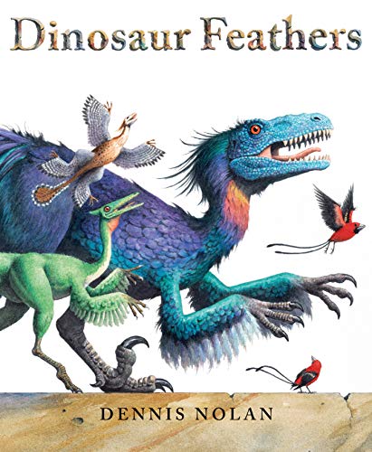 Imagen de archivo de Dinosaur Feathers a la venta por Dream Books Co.