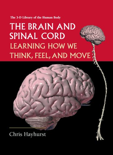 Imagen de archivo de The Brain and Spinal Cord: Learning How We Think, Feel and Move (3-D Library of the Human Body) a la venta por Library House Internet Sales
