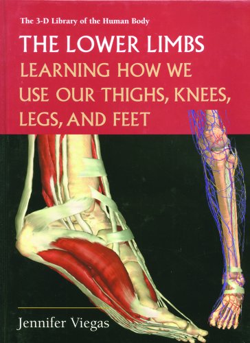 Beispielbild fr The Lower Limbs: Learning How We Use Our Thighs, Knees, Legs, and Feet (3-D Library of the Human Body) zum Verkauf von SecondSale