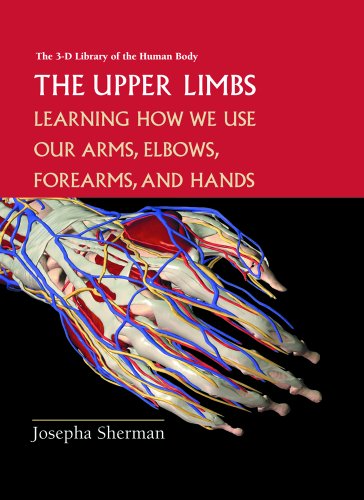 9780823935376: The Upper Limbs: Learning About How We Use Our Arms, Elbows, Forearms, and Hands (3-D Library of the Human Body)