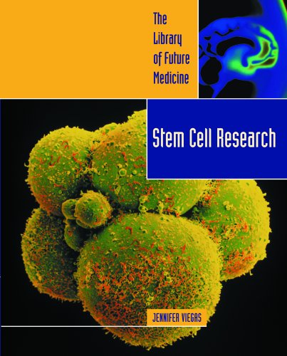 Stock image for Stem Cell Research (The Library of Future Medicine) for sale by More Than Words