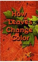 Beispielbild fr How Leaves Change Color (The Rosen Publishing Groups Reading Room Collection) zum Verkauf von Ezekial Books, LLC