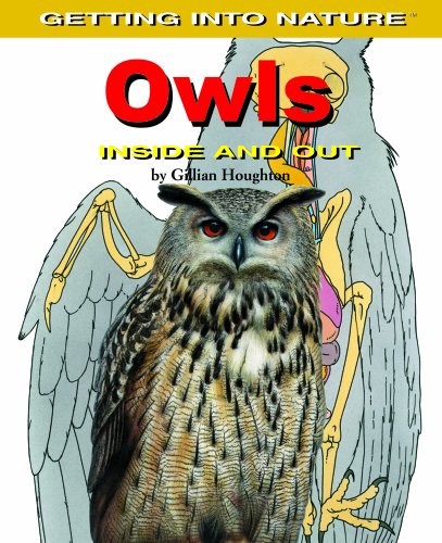 Beispielbild fr Owl zum Verkauf von Better World Books