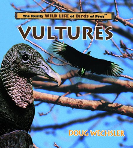 9780823955947: Vultures