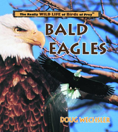 Stock image for Bald Eagles (Really Wild Life of Birds of Prey) for sale by SecondSale