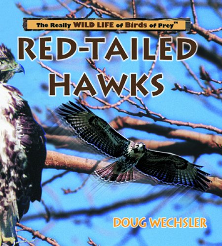 Beispielbild fr Red-Tailed Hawks zum Verkauf von Better World Books